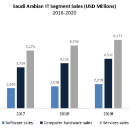 Saudi-Arabia-IT-Segment-Sales