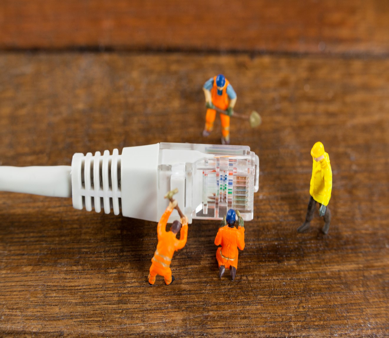 UTP and Fiber Cable