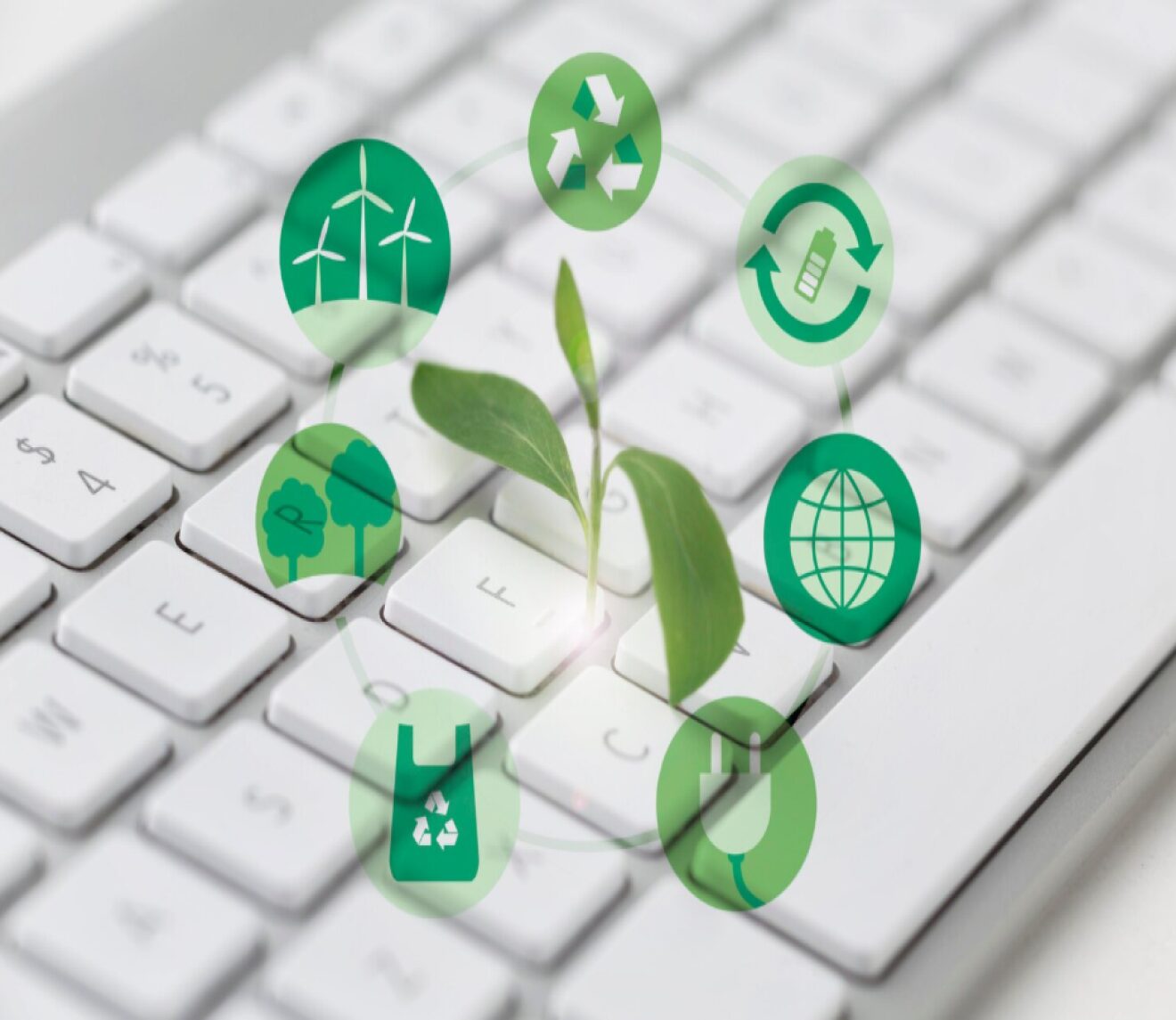 environmental management system